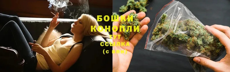 Каннабис OG Kush  Касимов 